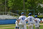 Baseball vs Babson NEWMAC Finals  Wheaton College vs Babson College play in the NEWMAC baseball championship finals. - (Photo by Keith Nordstrom) : Wheaton, baseball, NEWMAC, Babson
